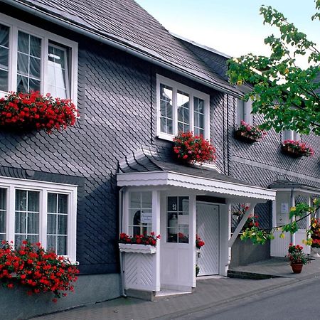 Panoramaferienwohnung Bergwiese Массерберґ Екстер'єр фото