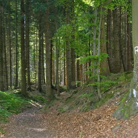 Panoramaferienwohnung Bergwiese Массерберґ Екстер'єр фото