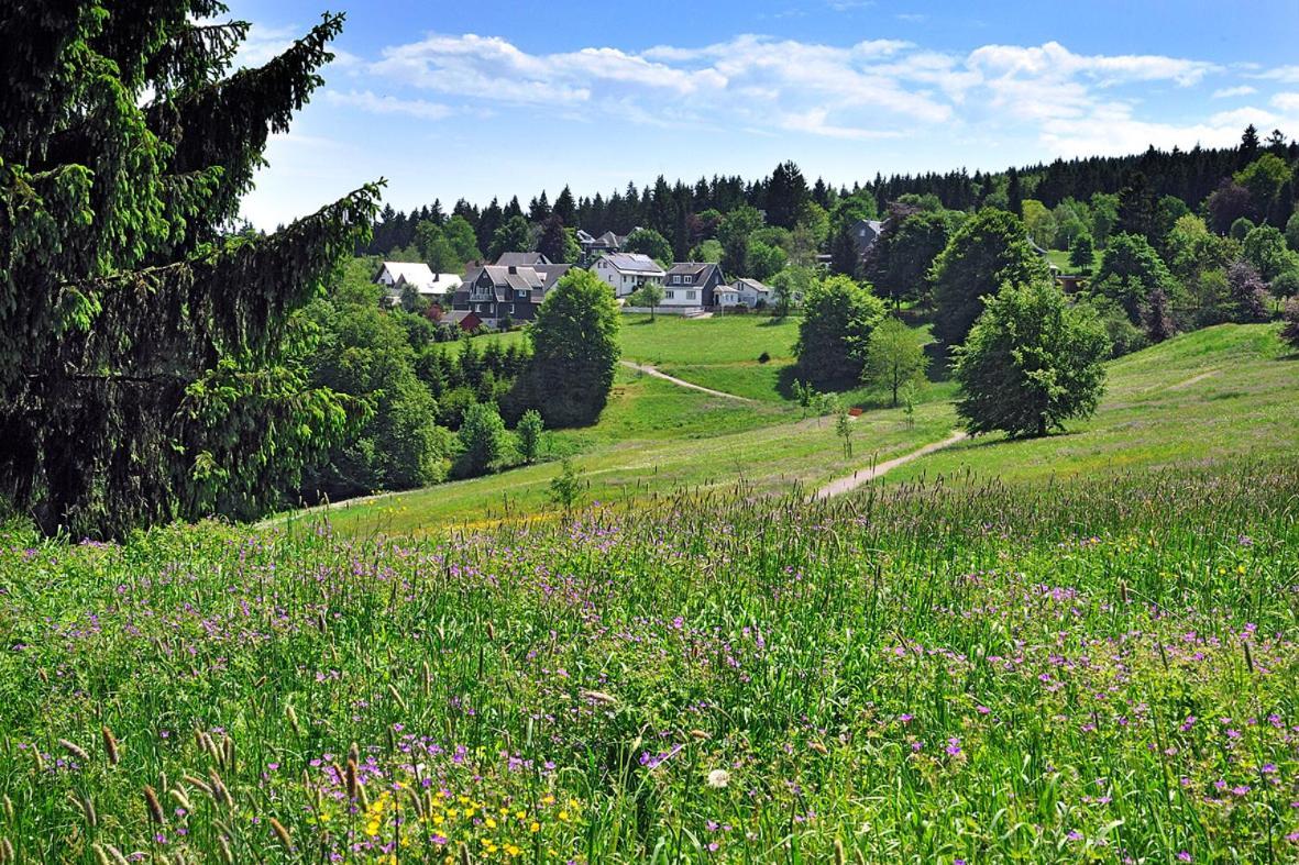 Panoramaferienwohnung Bergwiese Массерберґ Екстер'єр фото