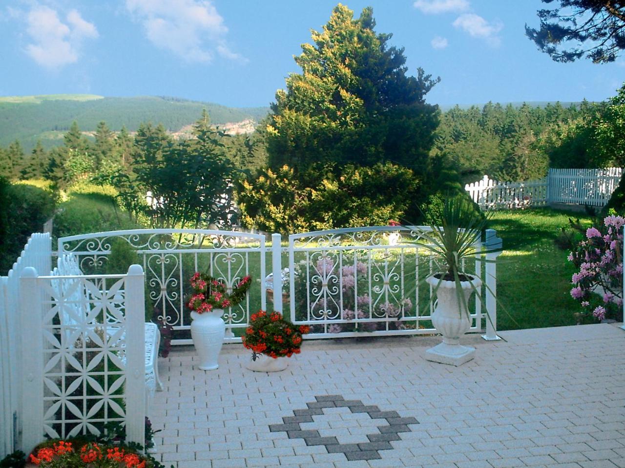 Panoramaferienwohnung Bergwiese Массерберґ Екстер'єр фото